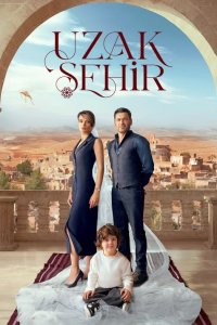 Далекий город